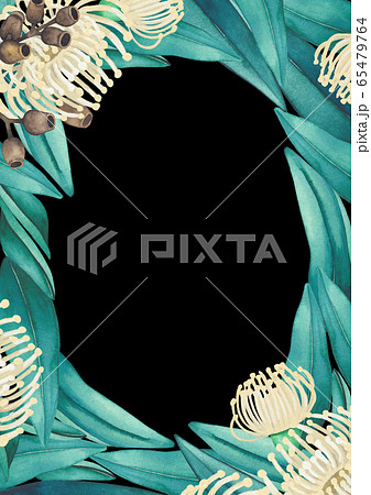 Watercolor eucalyptus flowers and leaves. Hand painted floral design 65479764