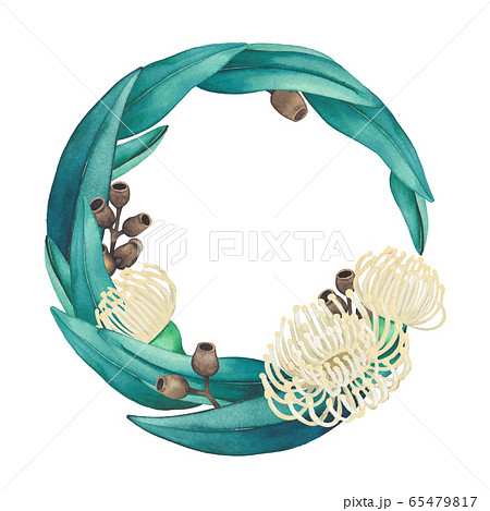 Watercolor Eucalyptus Wreath Isolated On White のイラスト素材
