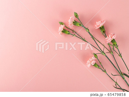 Fresh Carnation Flower Bouquet Dianthus or 65479858