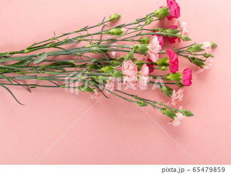 Fresh Carnation Flower Bouquet Dianthus or 65479859