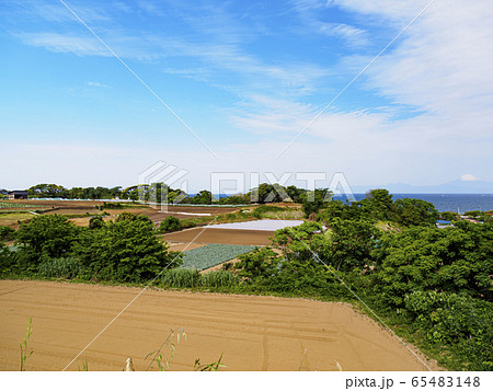 畑(初夏) 畑(初夏) 65483148