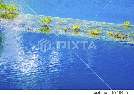 新緑と四万ブルー1 新緑と四万ブルー1 65484259