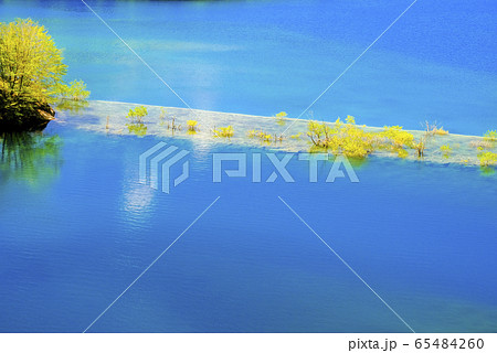 新緑の浅瀬と四万ブルー 新緑の浅瀬と四万ブルー 65484260