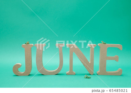 緑色の背景に置かれた「JUNE」のアルファベットブロックとミニチュアのカエル 65485021