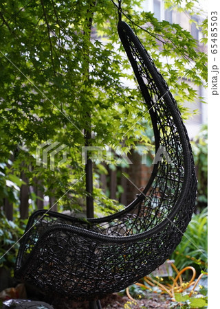 自然 屋外 室外 65485503