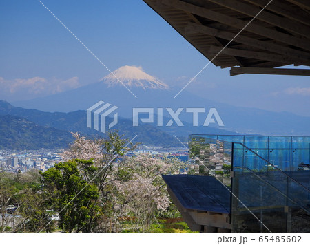 桜と富士の名所　日本平 65485602