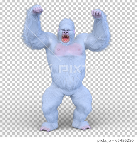 White gorilla White gorilla 65486250