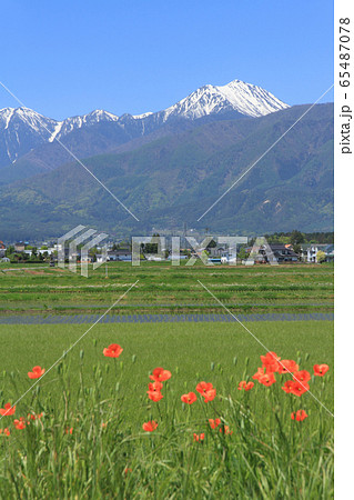 安曇野の5月 安曇野の5月 65487078