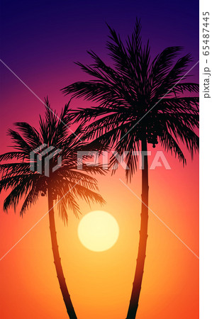 Natural Coconut trees. Mountains horizon hills. Silhouettes of palm trees and hills. Sunrise and sunset. Landscape wallpaper. Illustration vector style. Colorful view background. 65487445