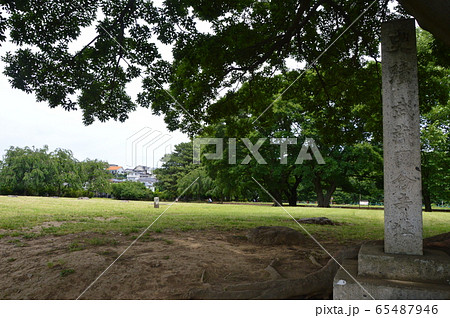 「史蹟 武蔵國分寺址」の石碑(東京都国分寺市) 「史蹟 武蔵國分寺址」の石碑(東京都国分寺市) 65487946
