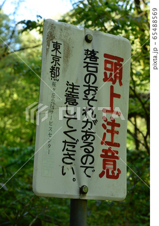 長沼公園の春　八王子 65488569