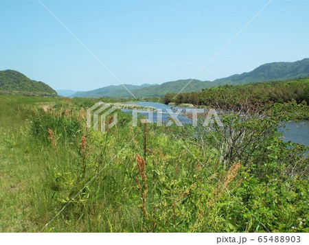 初夏の佐波川 初夏の佐波川 65488903