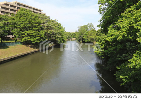 閘門橋(こうもんばし) 東京都葛飾区 閘門橋(こうもんばし) 東京都葛飾区 65489575