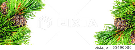 Banner made of natural evergreen cedar branches Banner made of natural evergreen cedar branches 65490086