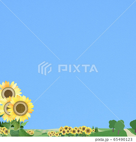 背景 青空 夏 ひまわりのイラスト素材