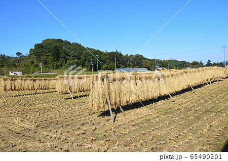 日本の原風景 稲掛(埼玉県秩父市) 日本の原風景 稲掛(埼玉県秩父市) 65490201