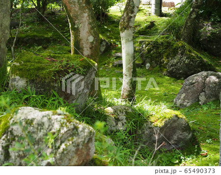 栃木県、古峰神社 65490373