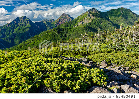 八ヶ岳連峰・編笠山から見る権現岳・赤岳 65490491