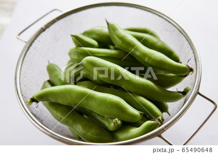 空豆収穫　そら豆 65490648