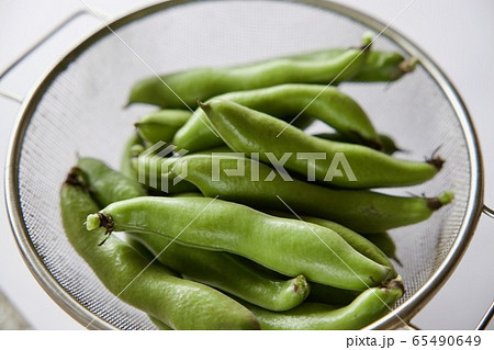 空豆収穫 そら豆 空豆収穫 そら豆 65490649