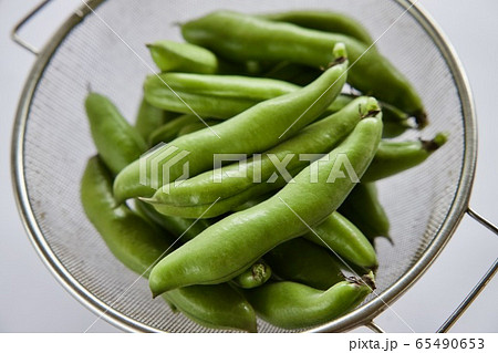 空豆収穫　そら豆 65490653