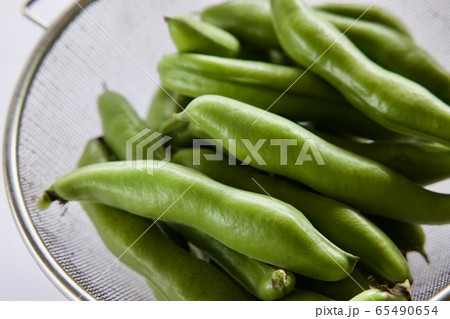 空豆収穫 そら豆 空豆収穫 そら豆 65490654