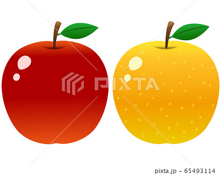 リンゴとナシ 65493114