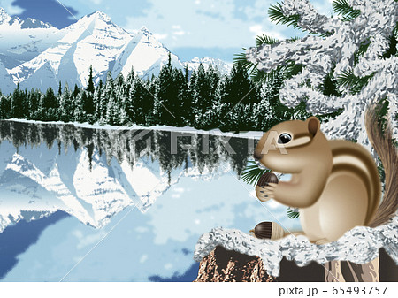 冬のカナディアンロッキーのイラスト 冬のカナディアンロッキーのイラスト 65493757