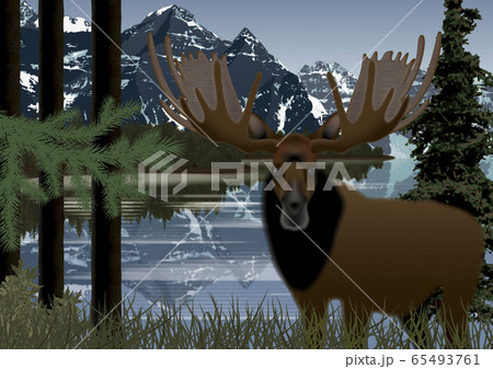 カナダの森とヘラジカのイラストのイラスト素材