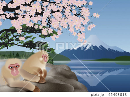 富士山と桜とサルのイラスト 富士山と桜とサルのイラスト 65493818