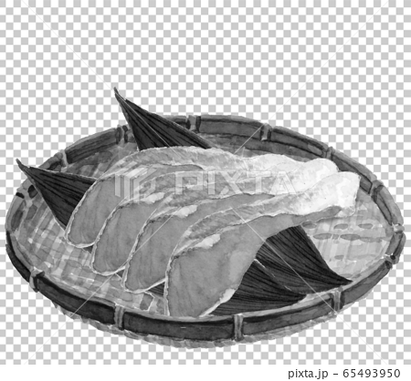 水彩 ザルに並べた鮭 切り身 4切れ ヒバ 水墨画風 モノトーンのイラスト素材 65493950 Pixta