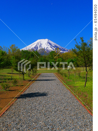 20200514富士吉田市・富士散策公園から青空の富士山 20200514富士吉田市・富士散策公園から青空の富士山 65494050