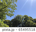 新緑 65495518