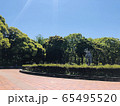新緑 65495520