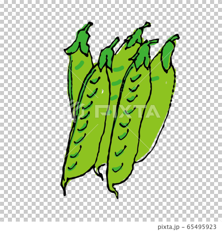 豌豆 豌豆 65495923