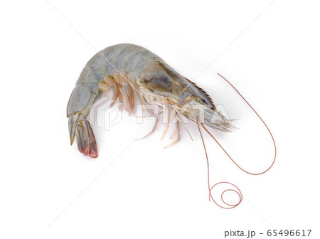 raw shrimp isolated on white background 65496617