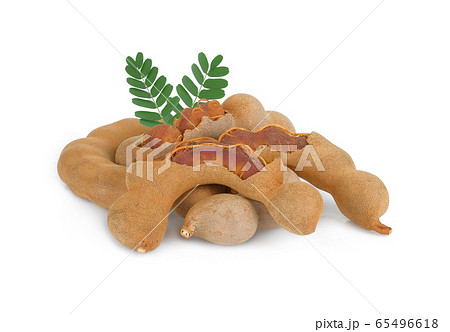 ripe tamarind with leaf isolated on white ripe tamarind with leaf isolated on white 65496618