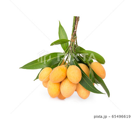 maprang fruit , marian plum, or plum mango 65496619