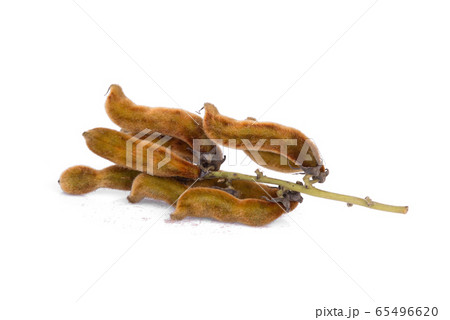 mucuna pruriens or velvet bean isolated on white 65496620