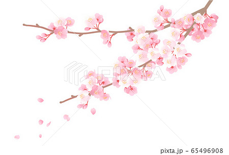 桜の花の背景イラスト 新入学 卒業 和風のテイストのイラスト素材