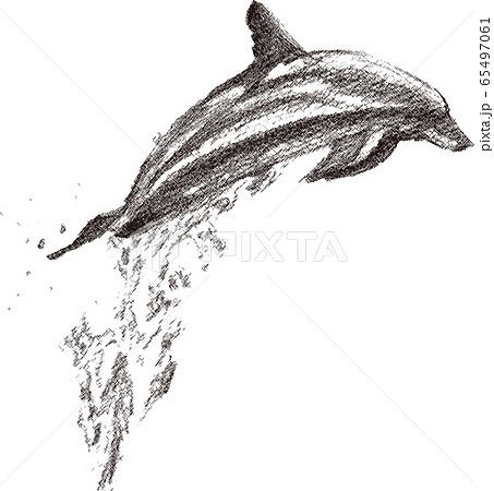 白黒 イルカ 飛ぶのイラスト素材