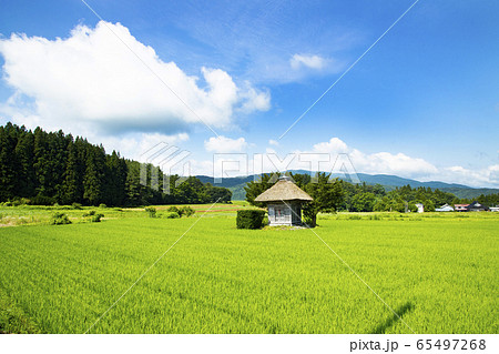 山口の水車小屋 65497268