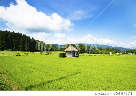 山口の水車小屋 山口の水車小屋 65497271