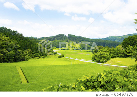 デンデラ野周辺の田園風景 デンデラ野周辺の田園風景 65497276