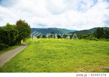 デンデラ野 デンデラ野 65497278