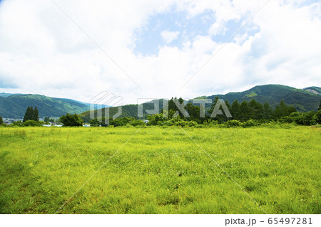 デンデラ野 65497281