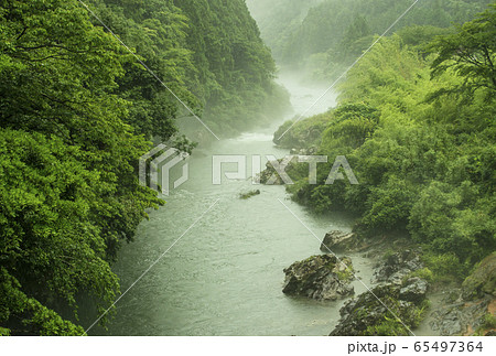 梅雨の風景　新緑と川　雨に煙る川　増水した河川　イメージ素材 65497364