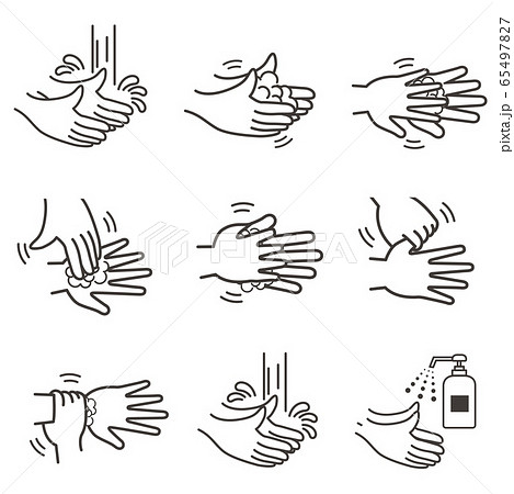 手洗い 手順 65497827