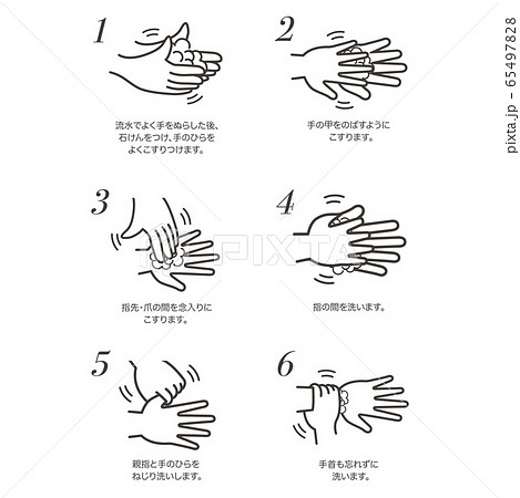 手洗い 手順 65497828