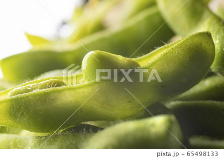新鮮で美味しい枝豆 65498133